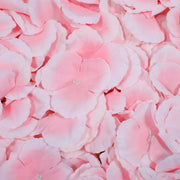 Close up Pink flower wall - white centre. 