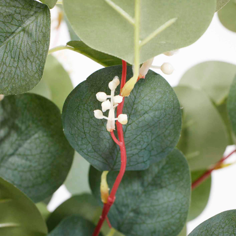 close up of leaf & buds