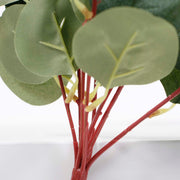 close up of stems, red brown colour