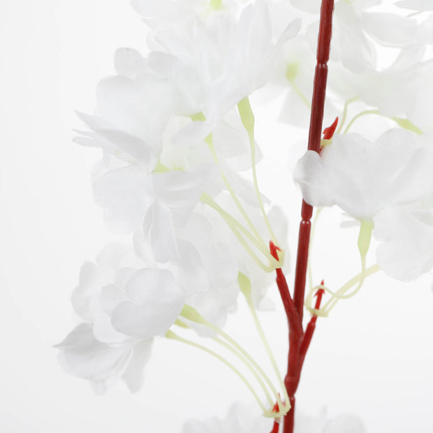 Thick Cherry Blossom Branch - White (1.1m) flower close b