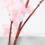 Close up photo of brown cherry blossom stem