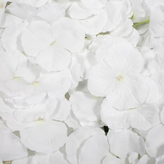 close up of white flower wall panel 