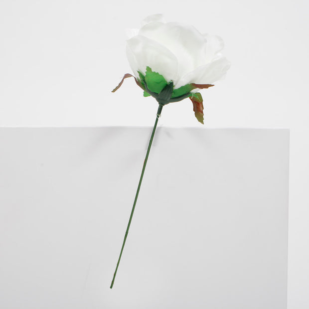 White Single Rose with green steam