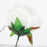 White single White Rose close up 