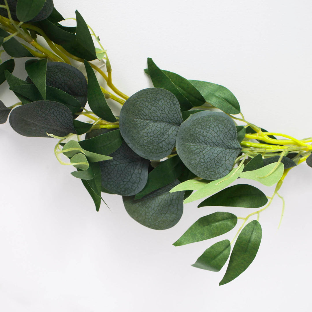 Silver Dollar and willow Eucalyptus leaf close up backs of leaves