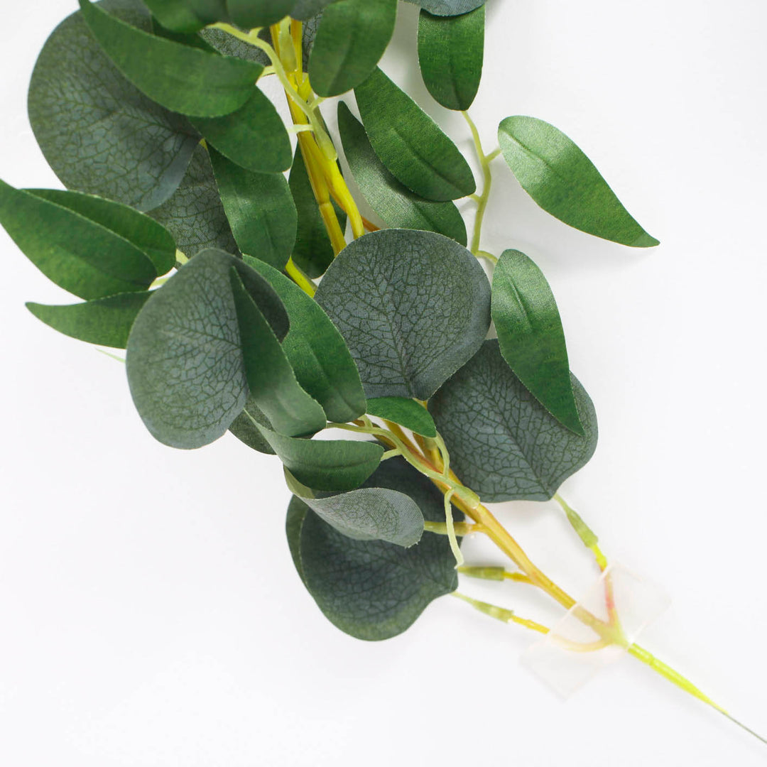 Silver Dollar and willow Eucalyptus leaf close up plus wire stem